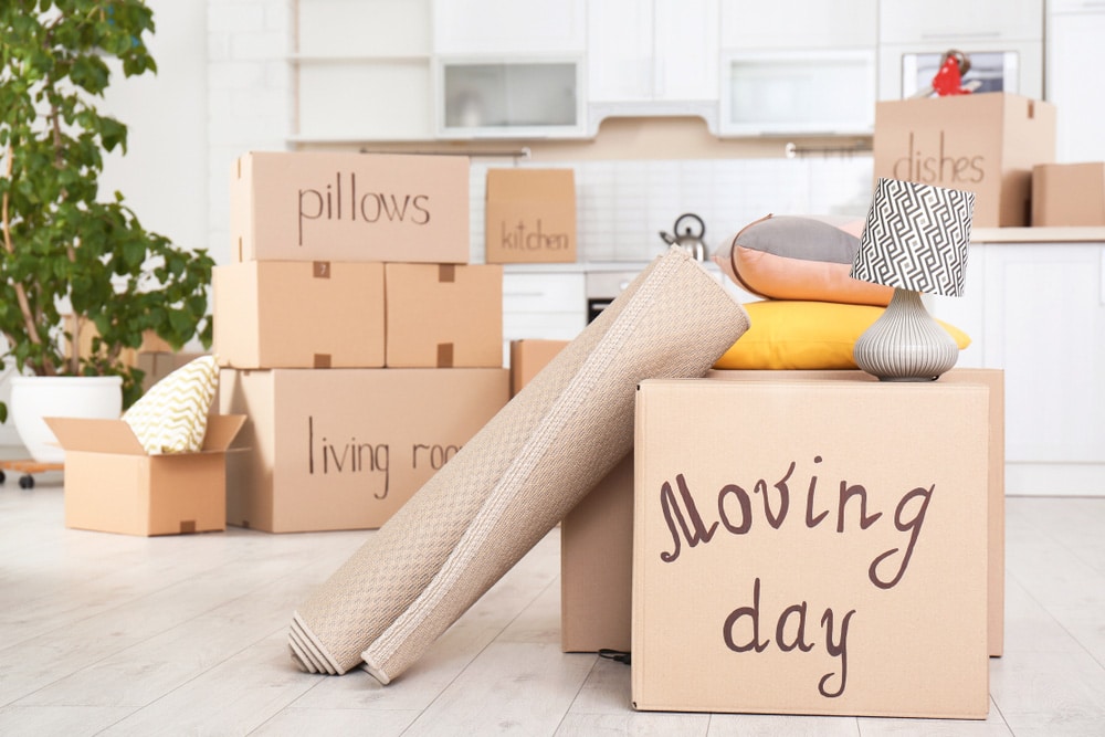 Kitchen Filled With Moving Boxes And Packing Materials