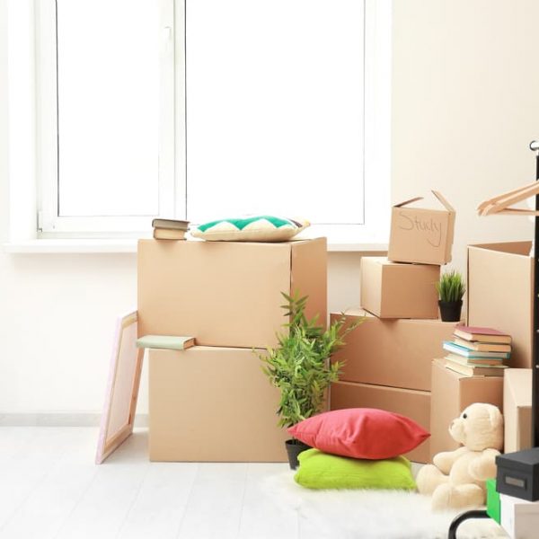 Moving Boxes In Light Room — Removals & General Freight in Port Macquarie, NSW