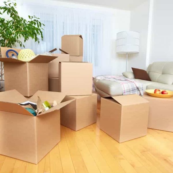 Moving Boxes In New House — Removals & General Freight in Port Macquarie, NSW